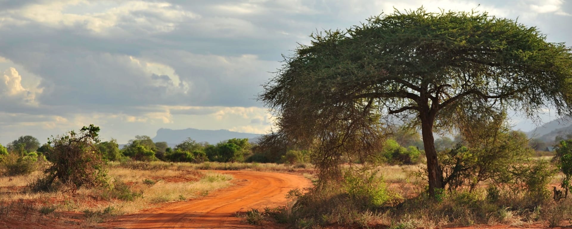 Höhepunkte Kenias ab Nairobi: Kenia Savanne