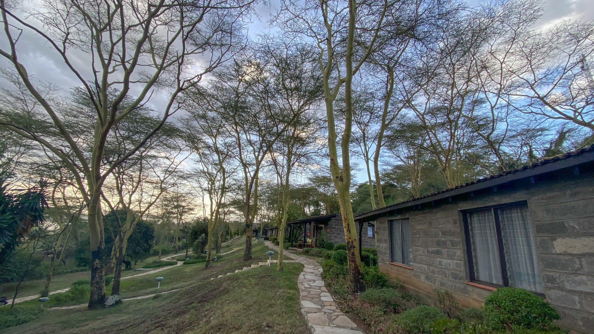Faszination Kenia ab Nairobi: Kenia Sarova Lion Hill Game Lodge