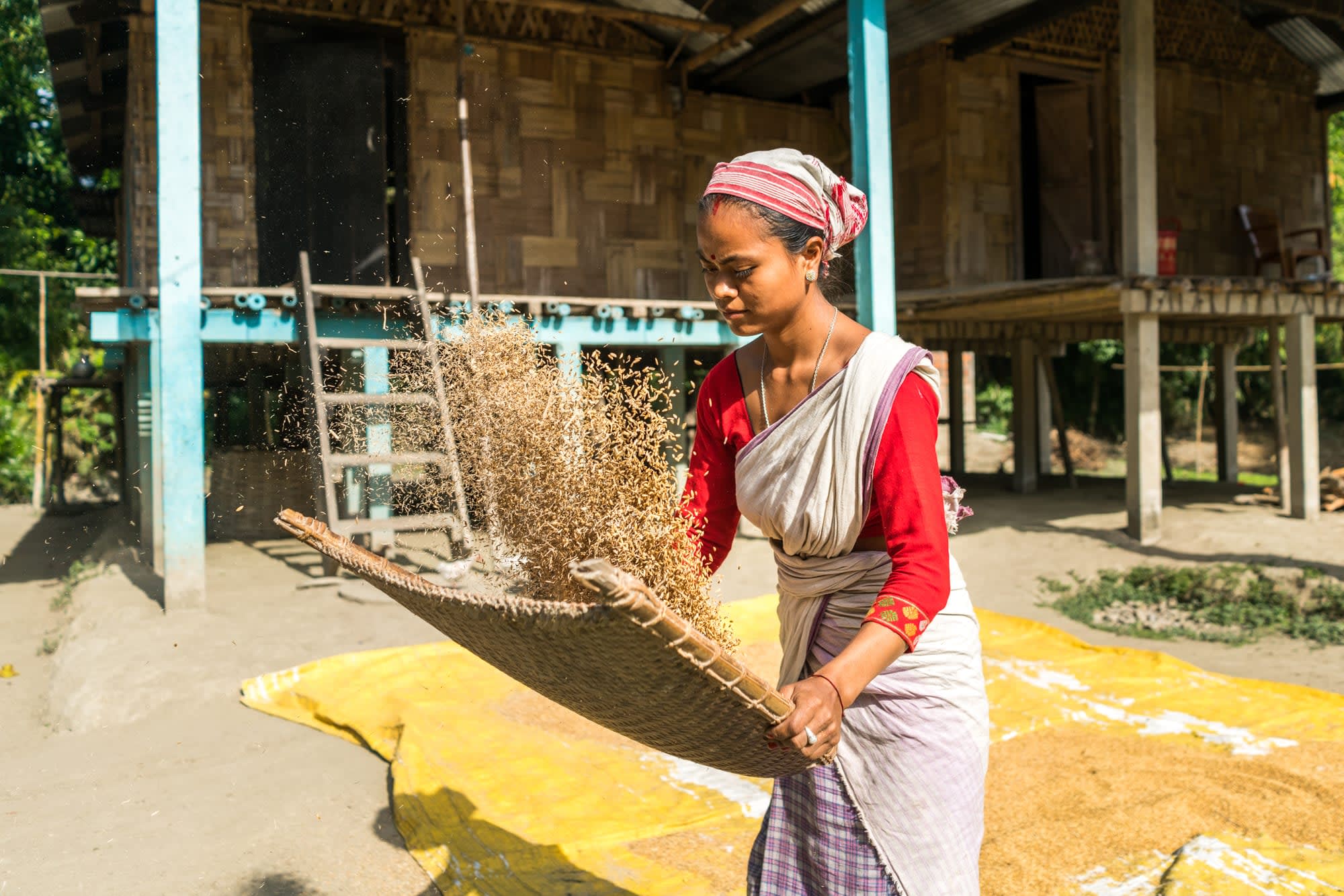 Magischer Brahmaputra ab Assam | Dibrugarh | Guwahati: Indien traditionelle Frau
