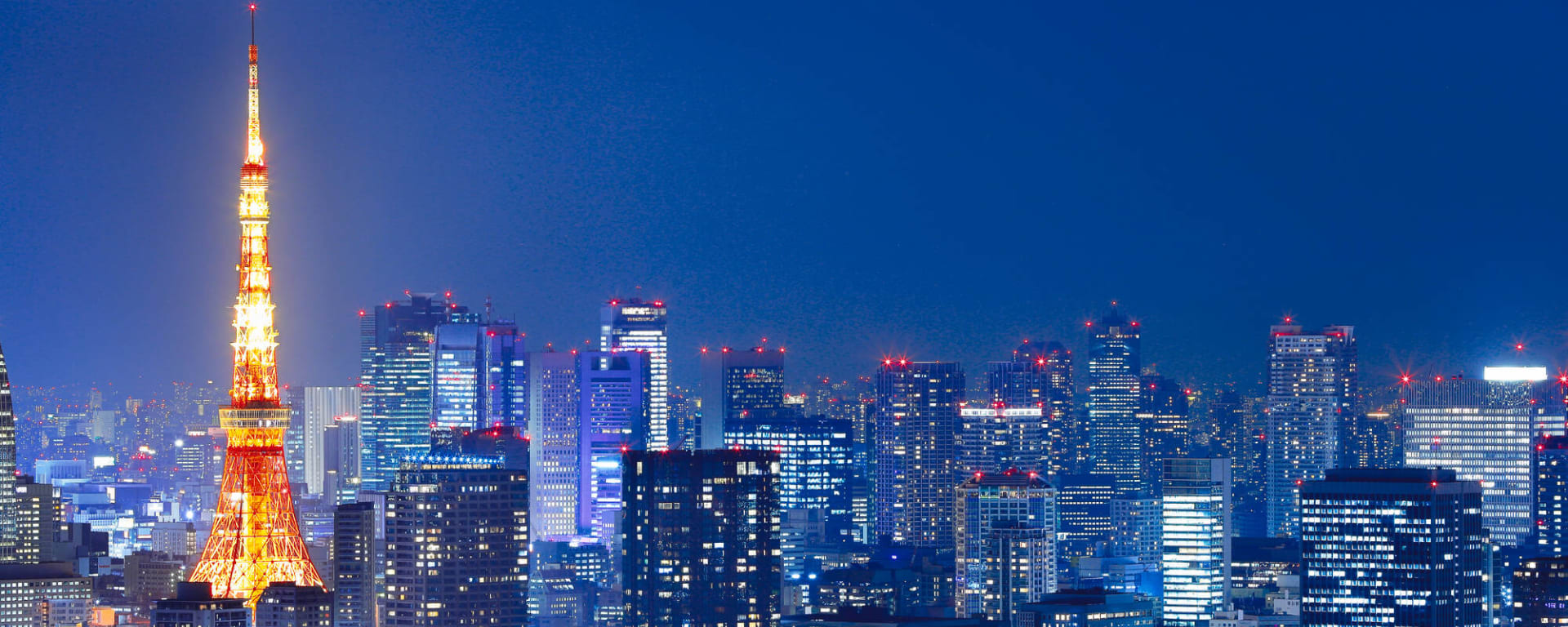 Soft Adventure Japan ab Tokio: Japan Tokio Tower bei Nacht