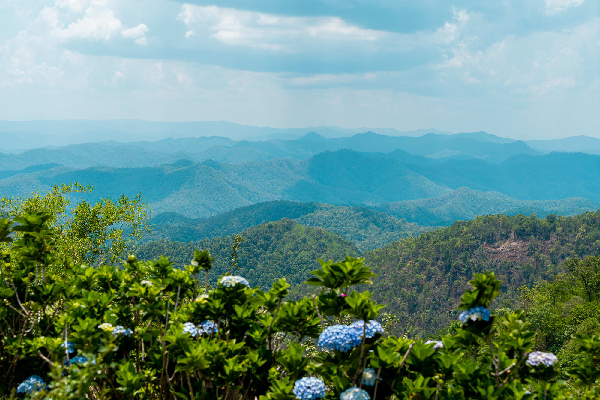 The Blue Jasmine - Heritage Zugreise ab Bangkok: activities: Thailand The Blue Jasmine Train - Picknick Hilltop