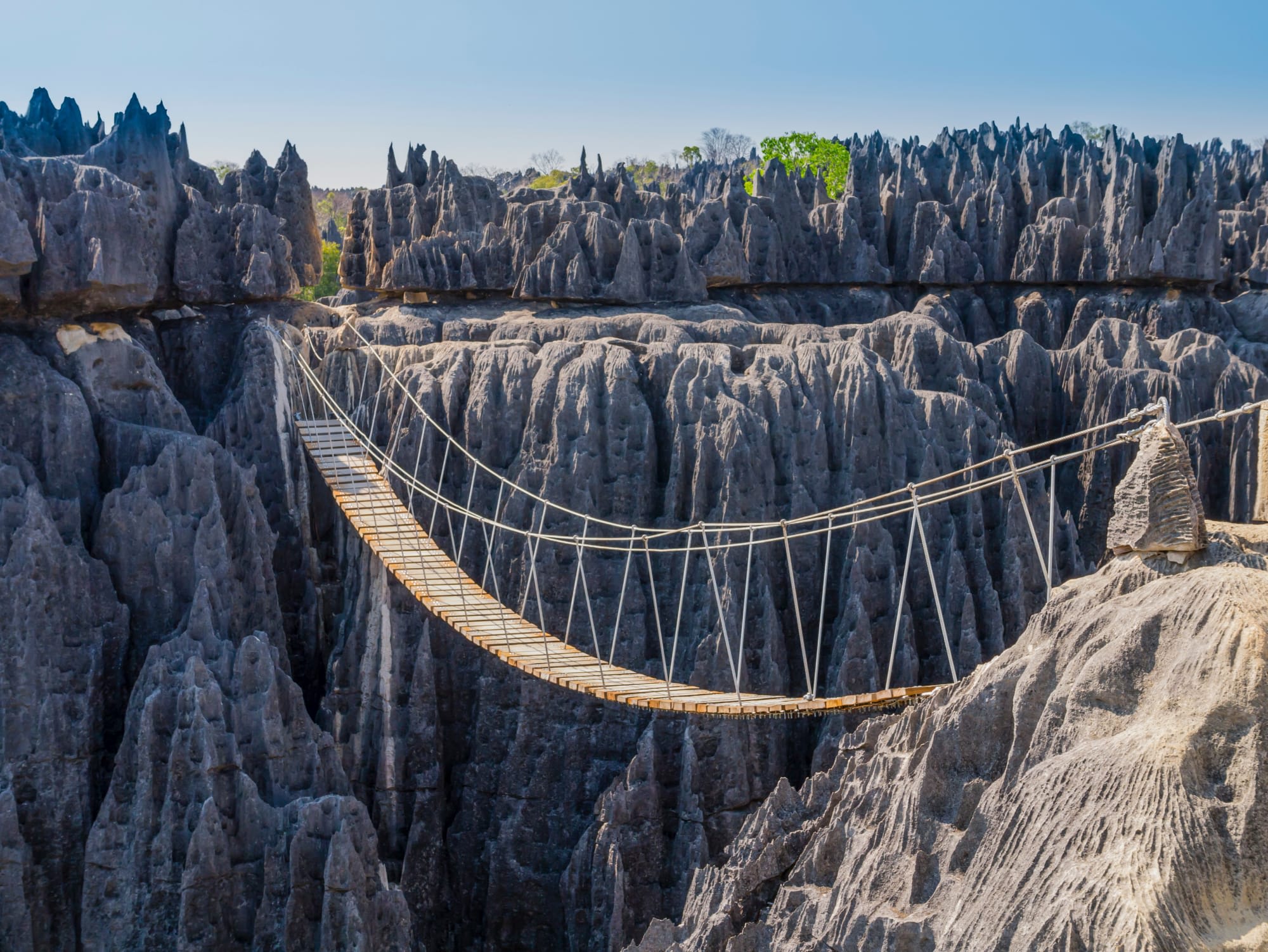 Morondava - Kleine & Große Tsingy ab Antananarivo: Madagaskar Tsingy de Bemaraha NP Brücke