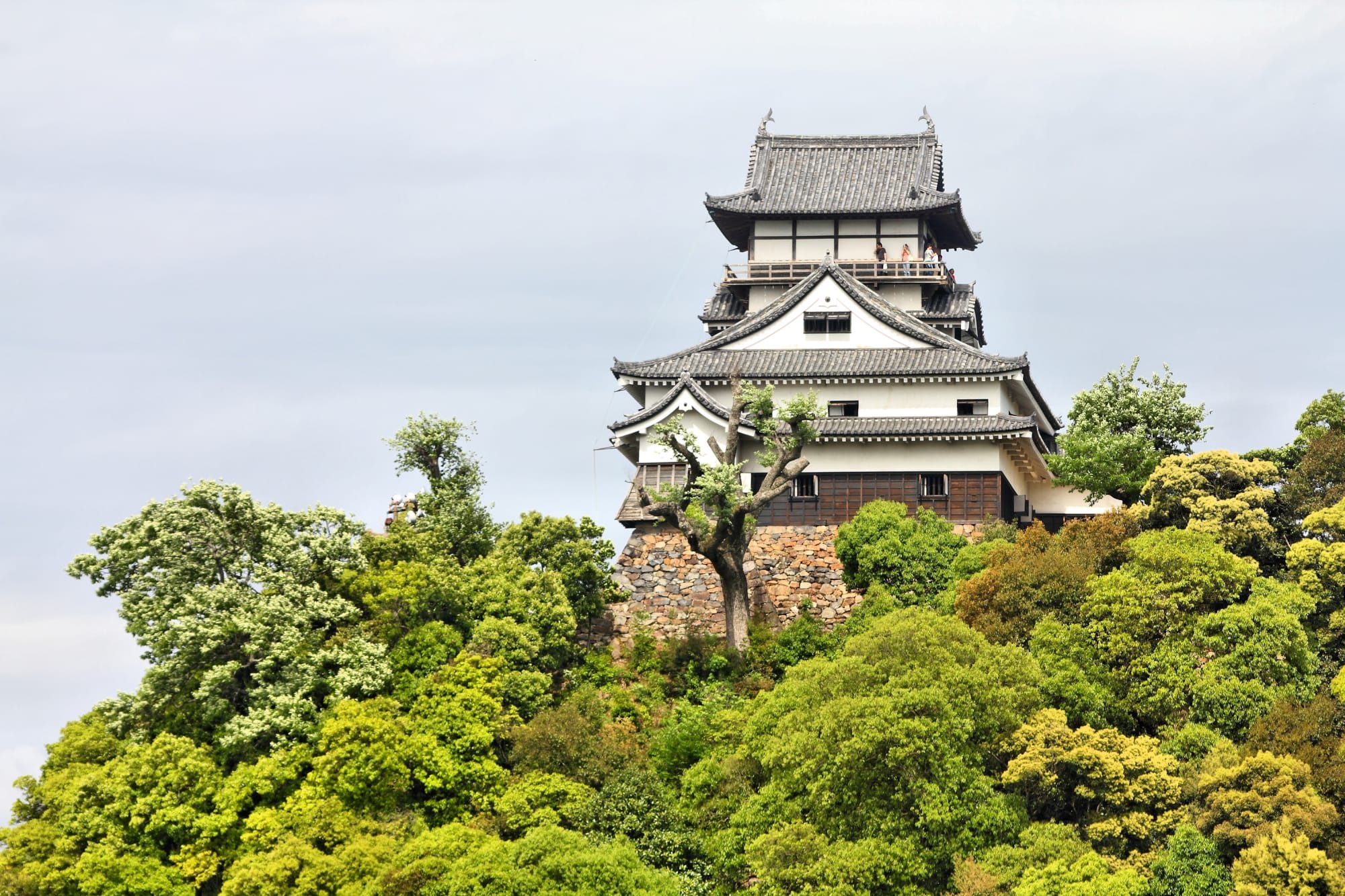ZEN - Japan entspannt erleben ab Kyoto: Japan Inuyama Burg