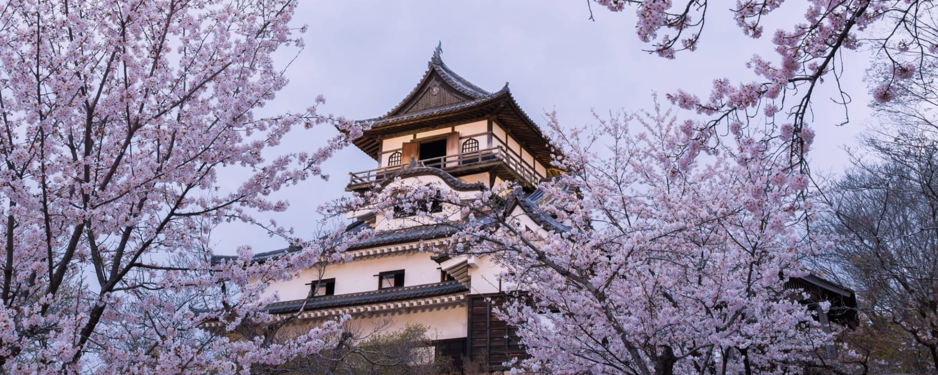 Nagoya & Mie ab Osaka: Japan Inuyama Burg