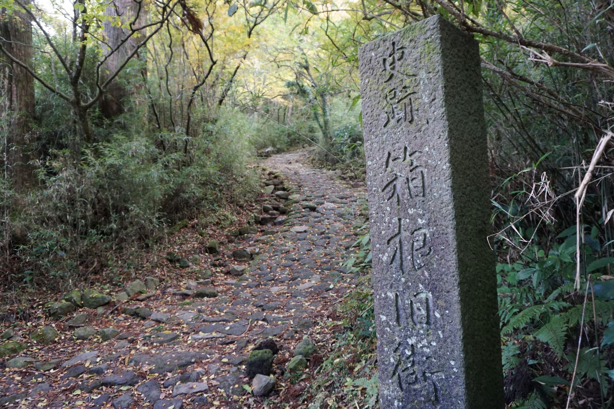 Soft Adventure Japan ab Tokio: Japan Hakone Tokaido Trail