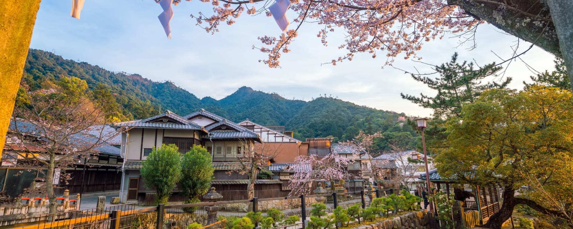 Westjapan entdecken mit dem Luxusbus ab Osaka: Japan Miyajima