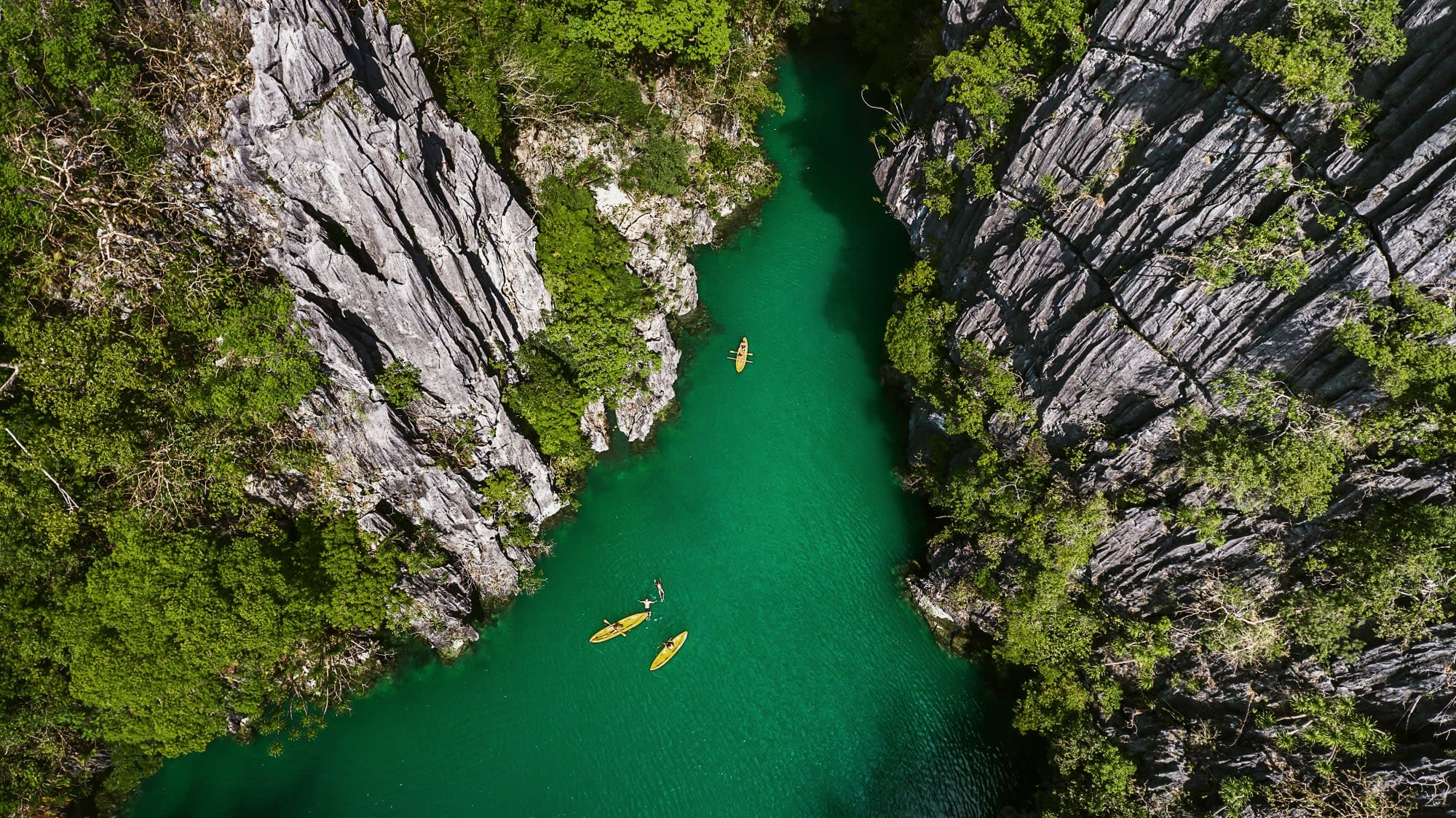 Palawan Vibes: Philippinen Kayaks Fluss