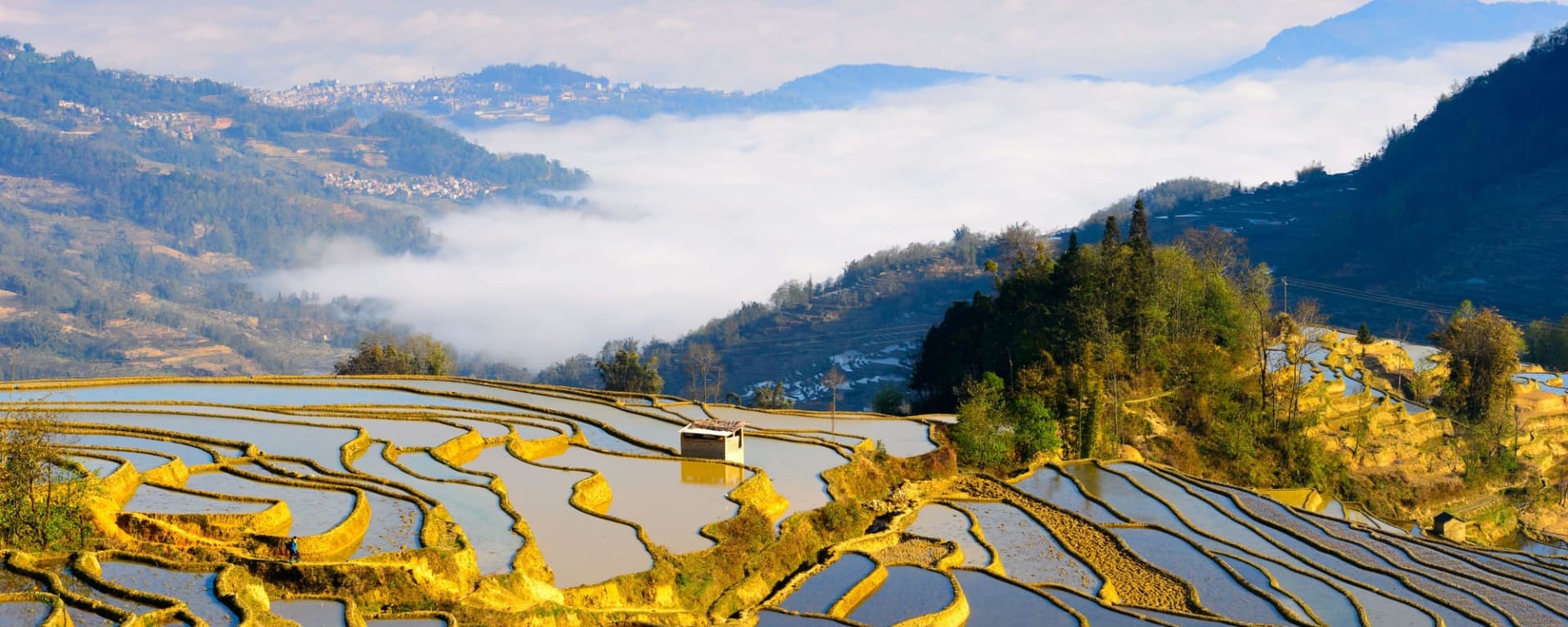 Mit dem Schnellzug von China nach Laos ab Chengdu: China Yuanyang Reisfeld