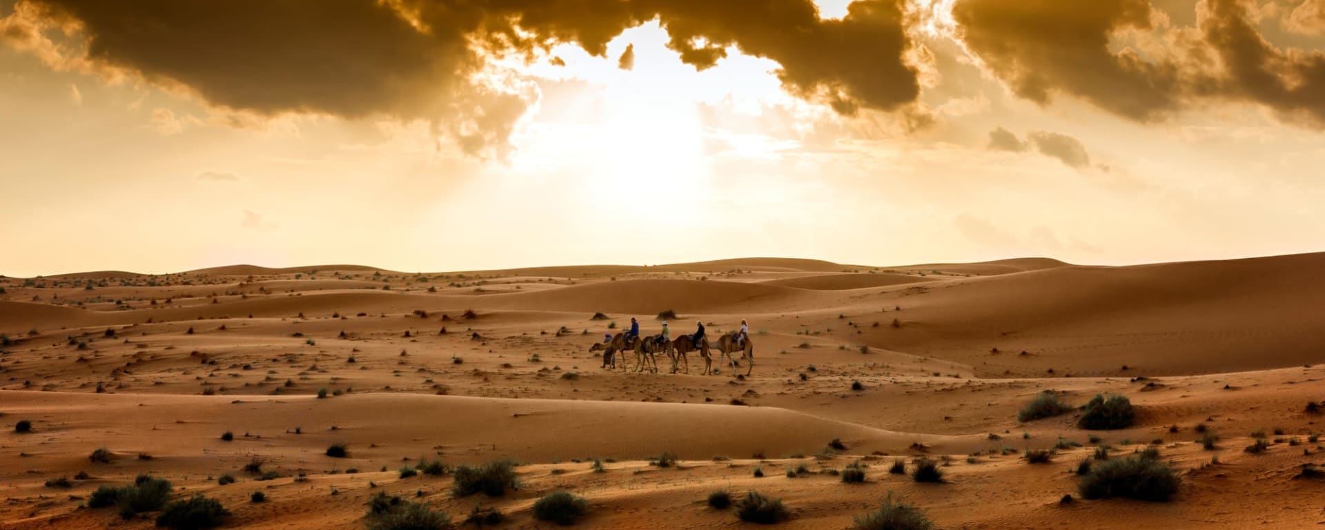 Expedition Wüste: Nord ab Muscat: Oman Wahiba Sands Kamele