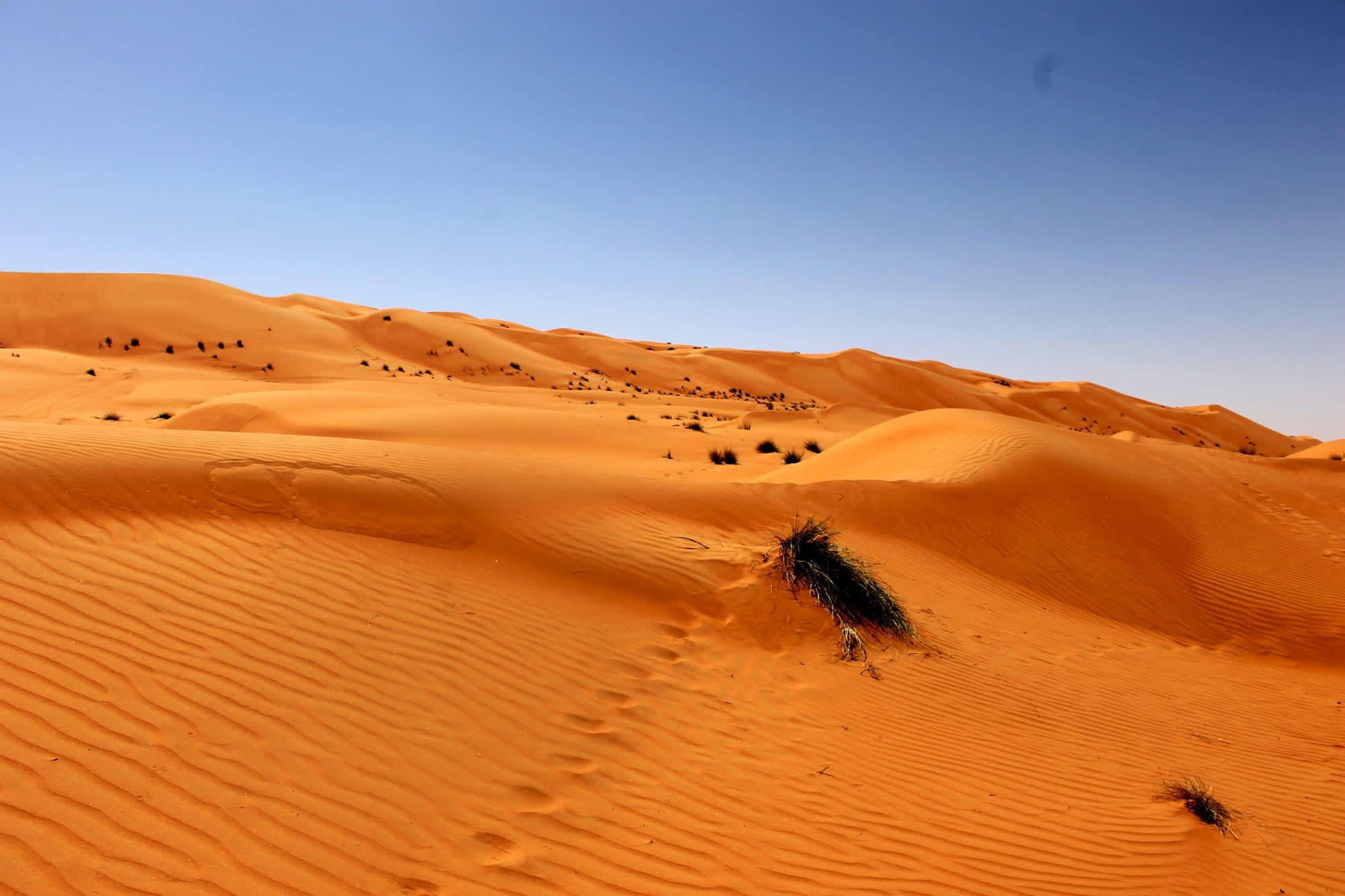 Expedition Wüste: Nord ab Muscat: Oman Wahiba Sands