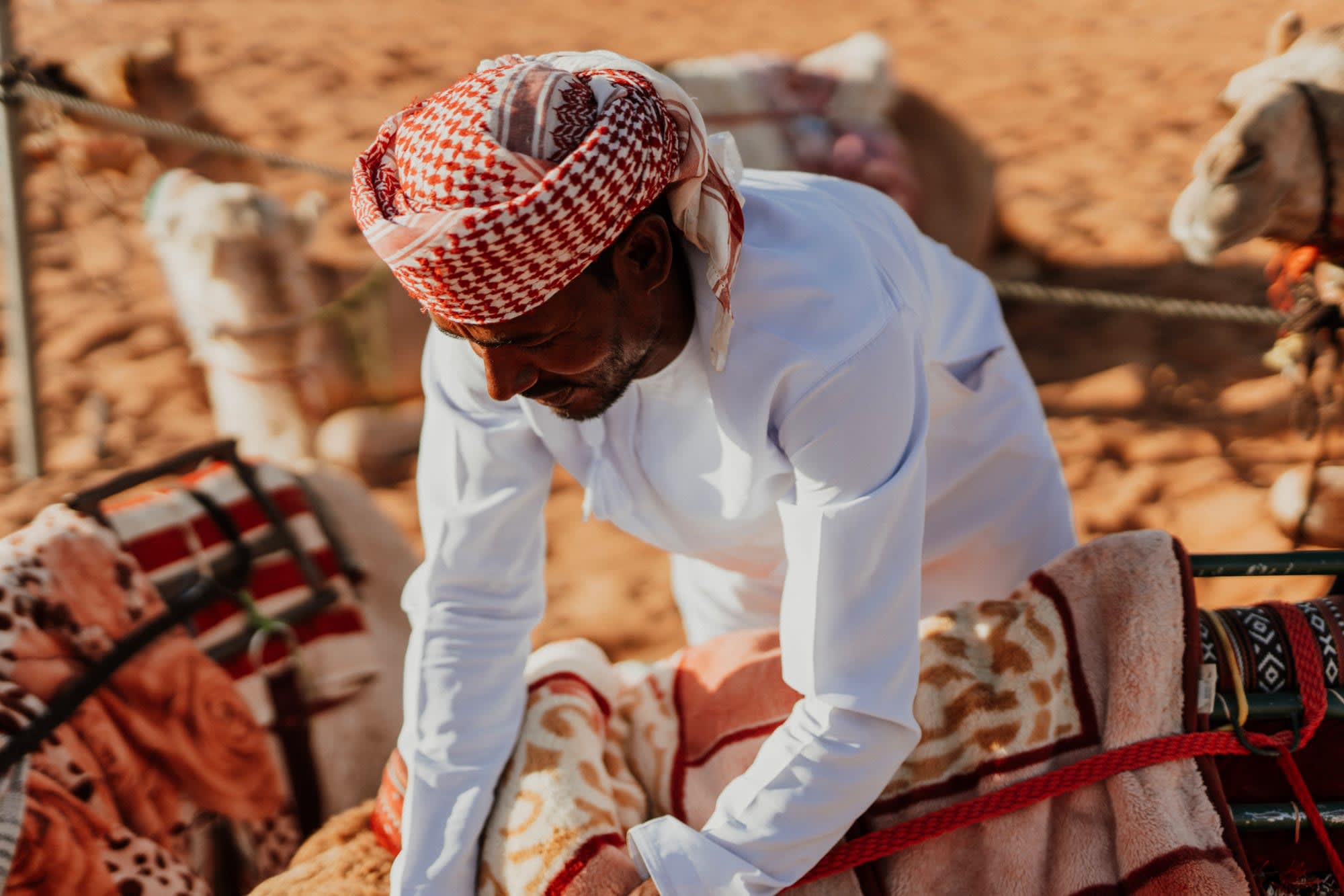 Expedition Wüste: Süd ab Salalah: Oman Expedition Wüste