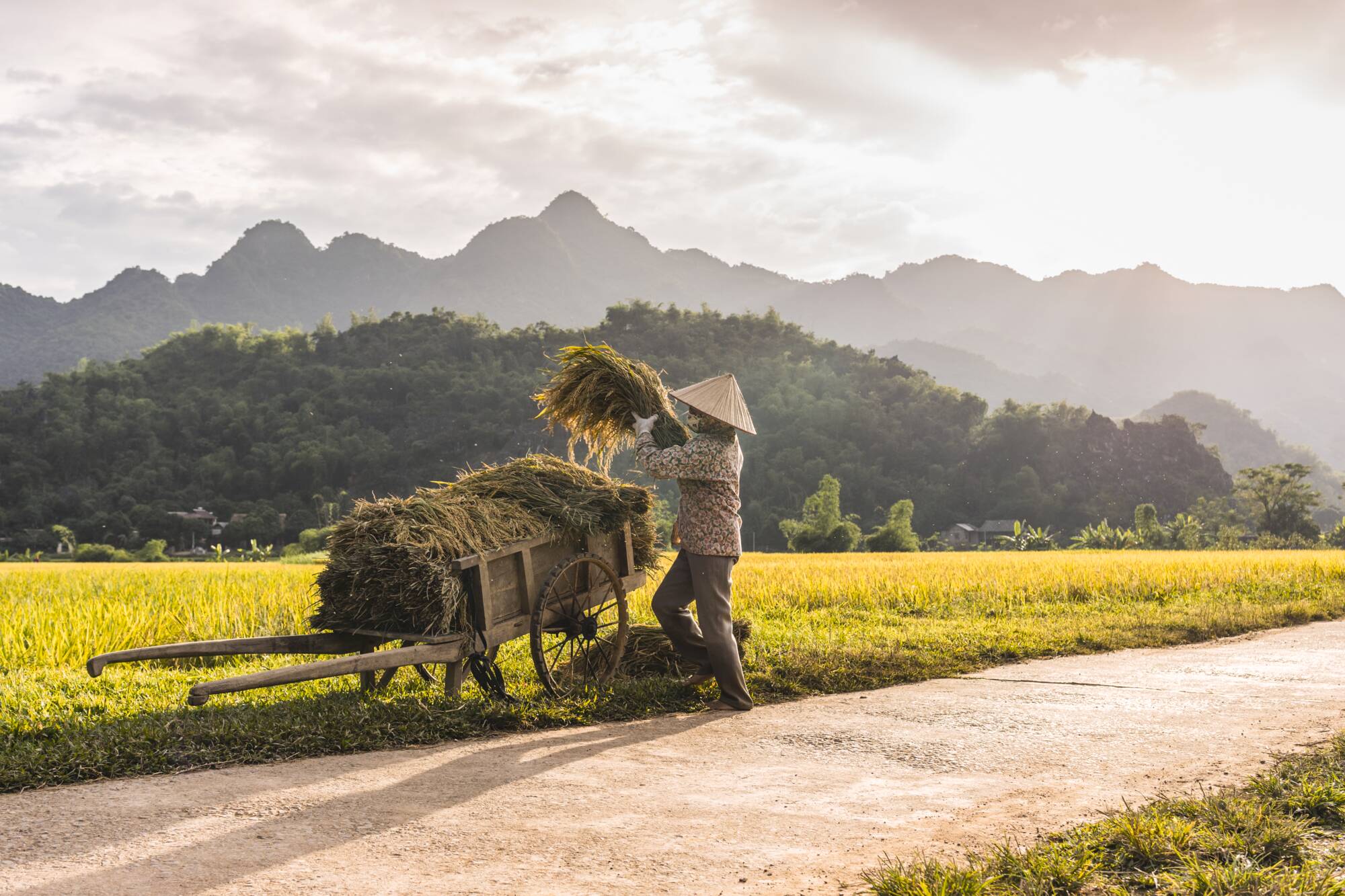 Zwischen Reisterrassen und Kalksteinfelsen ab Hanoi: Vietnam Mai Chau Bauer