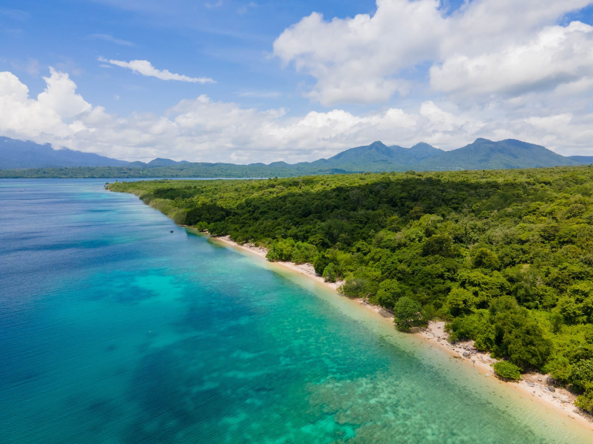 Menjangan: Dschungel & Meer ab Süd-Bali: Indonesien Bali Menjangan