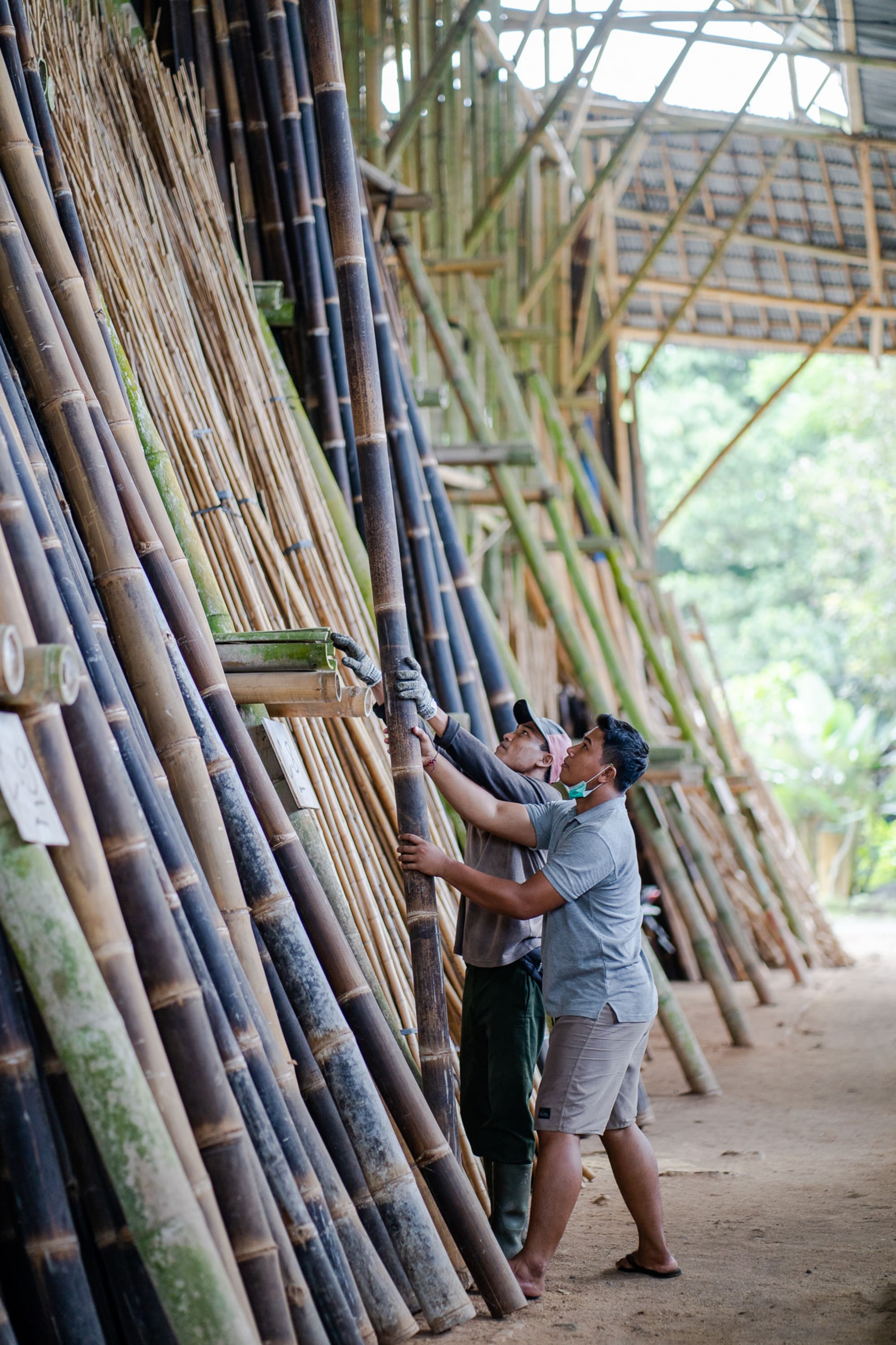Bali Bamboo ab Süd-Bali: Indonesien Bali Green Village