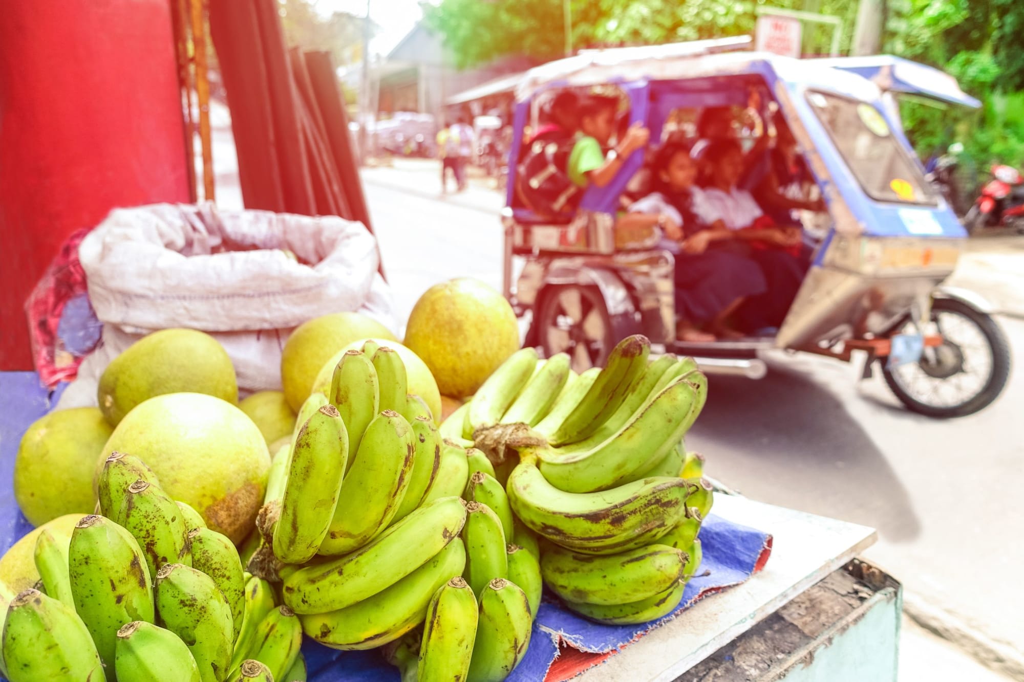 Westliche Visayas: Mango, Zuckerrohr und Kakao ab Negros: Philippines Früchte und TukTuk