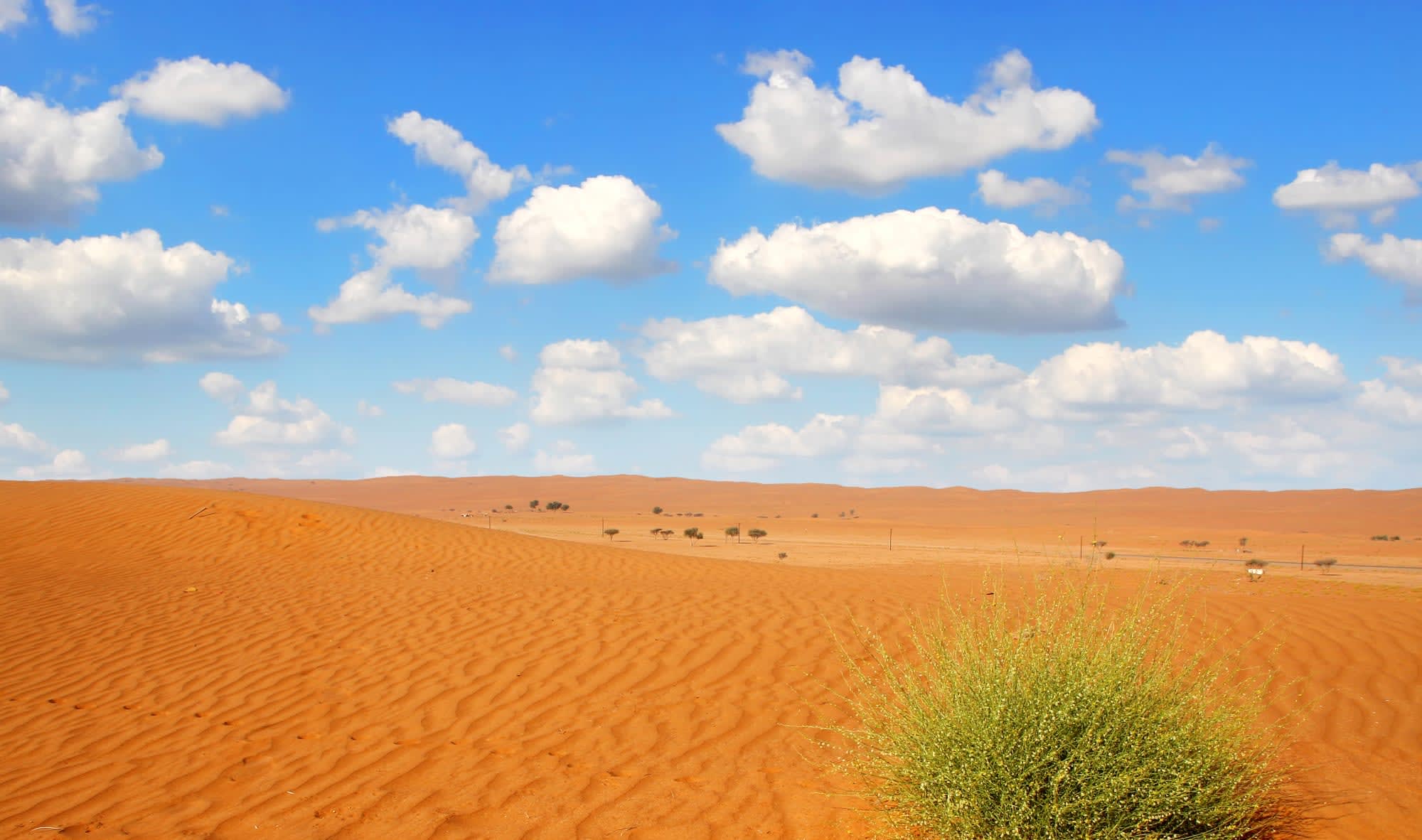 Expedition Wüste: Süd Kompakt ab Salalah: Oman Wüste