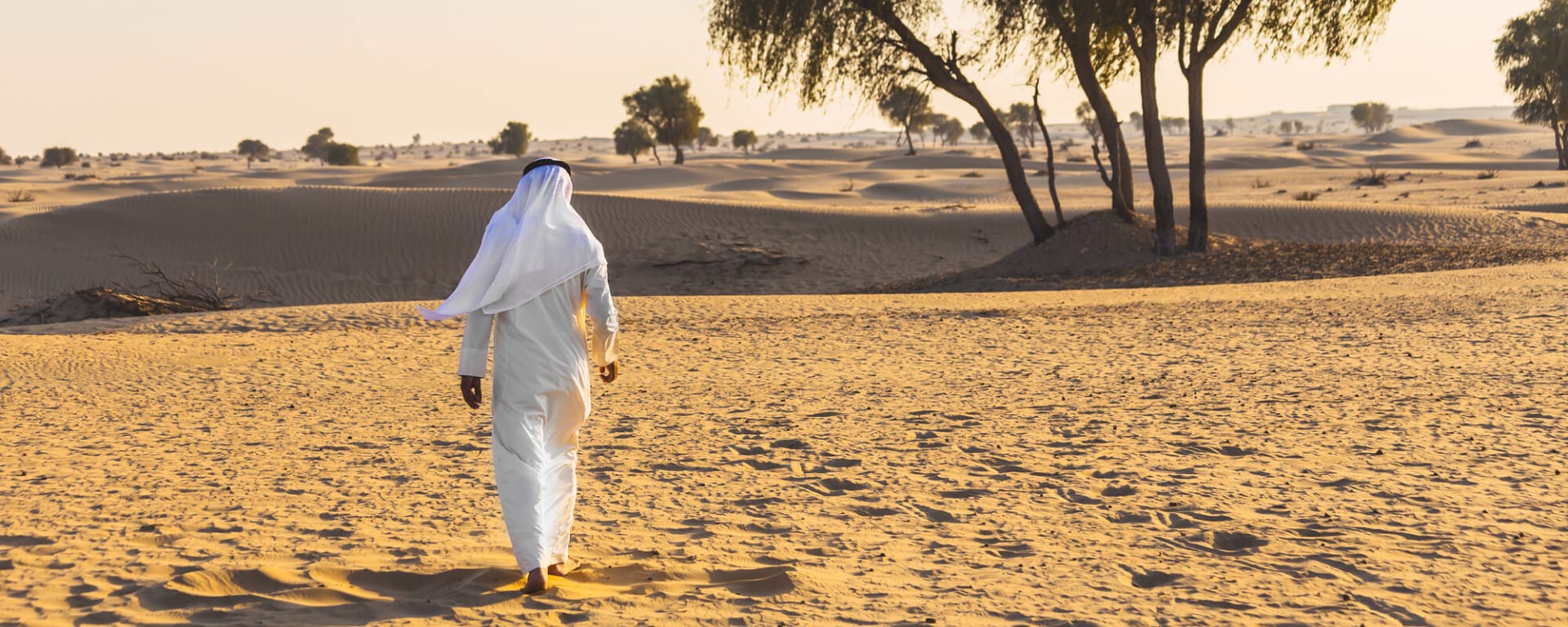 Roads of Abu Dhabi: VAE Wüste