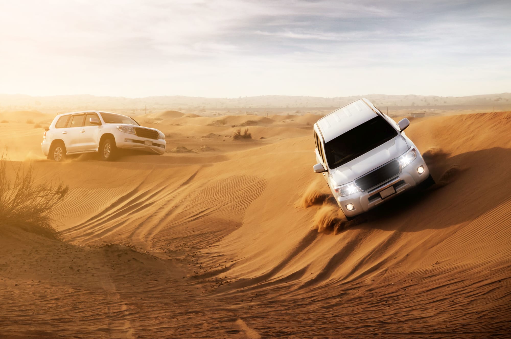 Roads of Abu Dhabi: VAE Wüstensafari