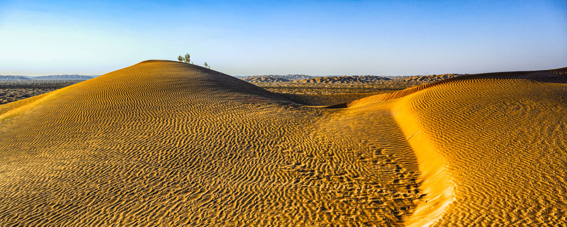 Abenteuer Wüste ab Salalah: Oman Rub al Khali Wüste