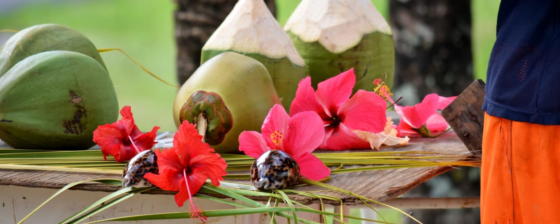 Silhouette Dream Premium ab Mahé: Seychellen Kokosnüsse