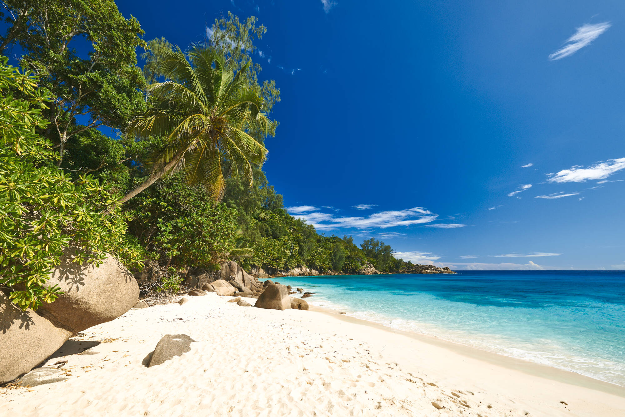 Praslin Dream Premium ab Mahé: Seychellen Strand