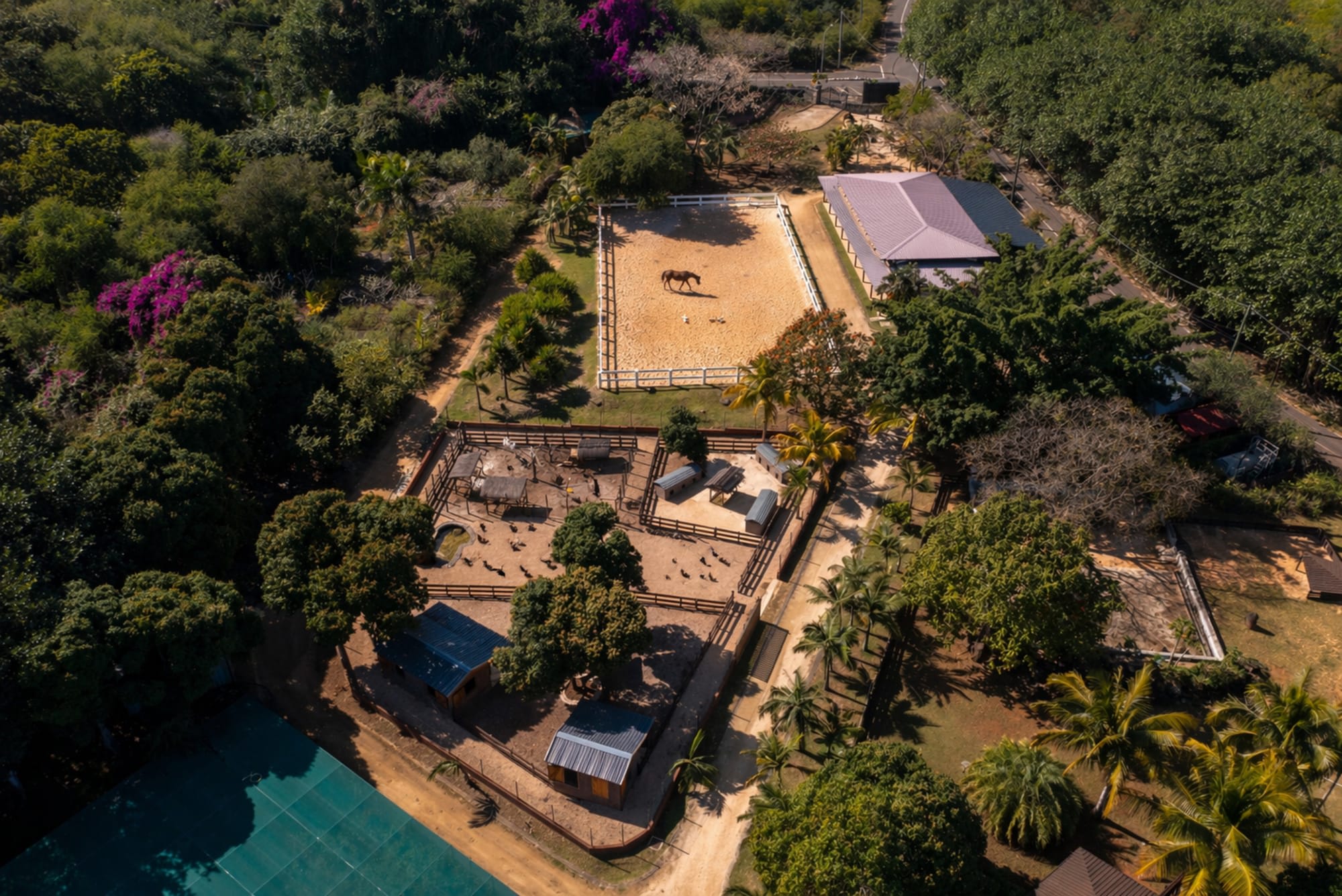 Maritim Resort & Spa Mauritius in Nord | Nordwesten: Tierfarm