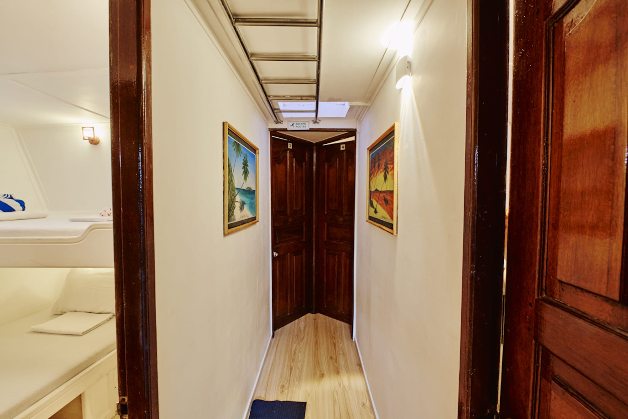 Schnorchelabenteuer auf der MV Horizon II ab Malediven: Horizon 2