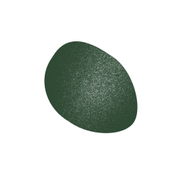 Kleine groene vlek met een gestructureerd oppervlak op een witte achtergrond.