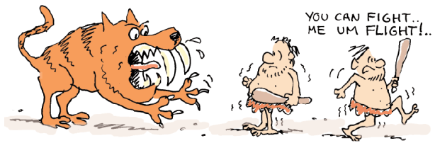 Fight or flight: hoe voer je een goed inhoudelijk gesprek?