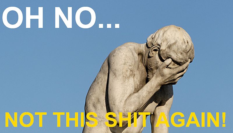 De zoveelste omgevingsmanager