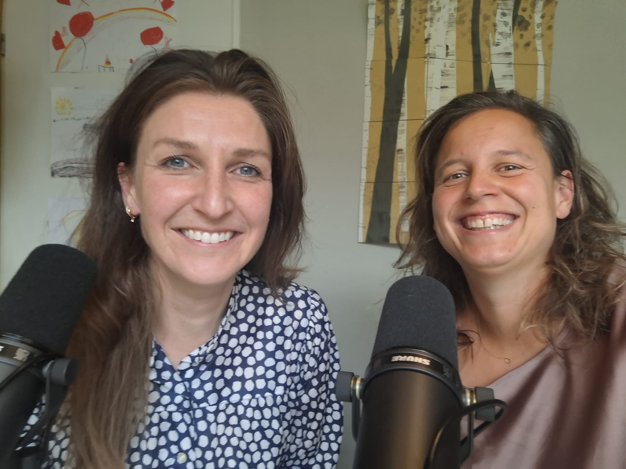 De Sociale Impact Analyse uitgelegd