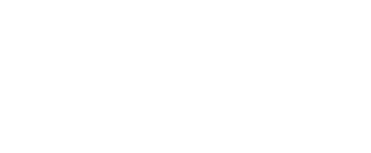 netorium-logo