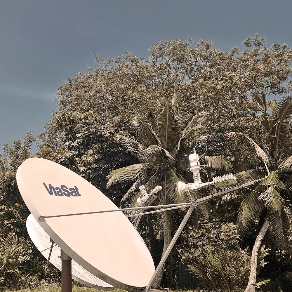 Large ViaSat satellite dish positioned outdoors with tropical palm trees and dense foliage in the background under a clear sky.
