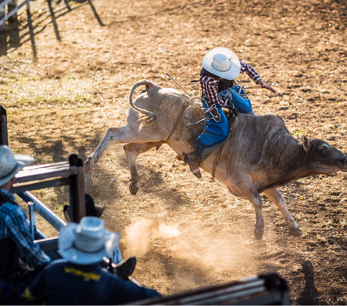 Rodeo cowboy wearing a white hat rides a bucking bull in a dirt arena with spectators watching behind a fence.