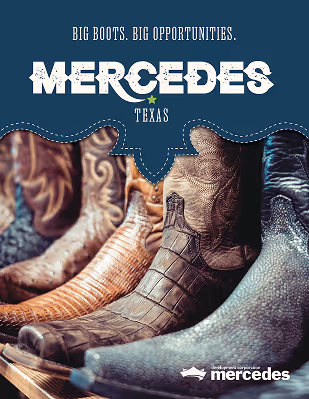 Cover of Mercedes Market Profile Publication.
