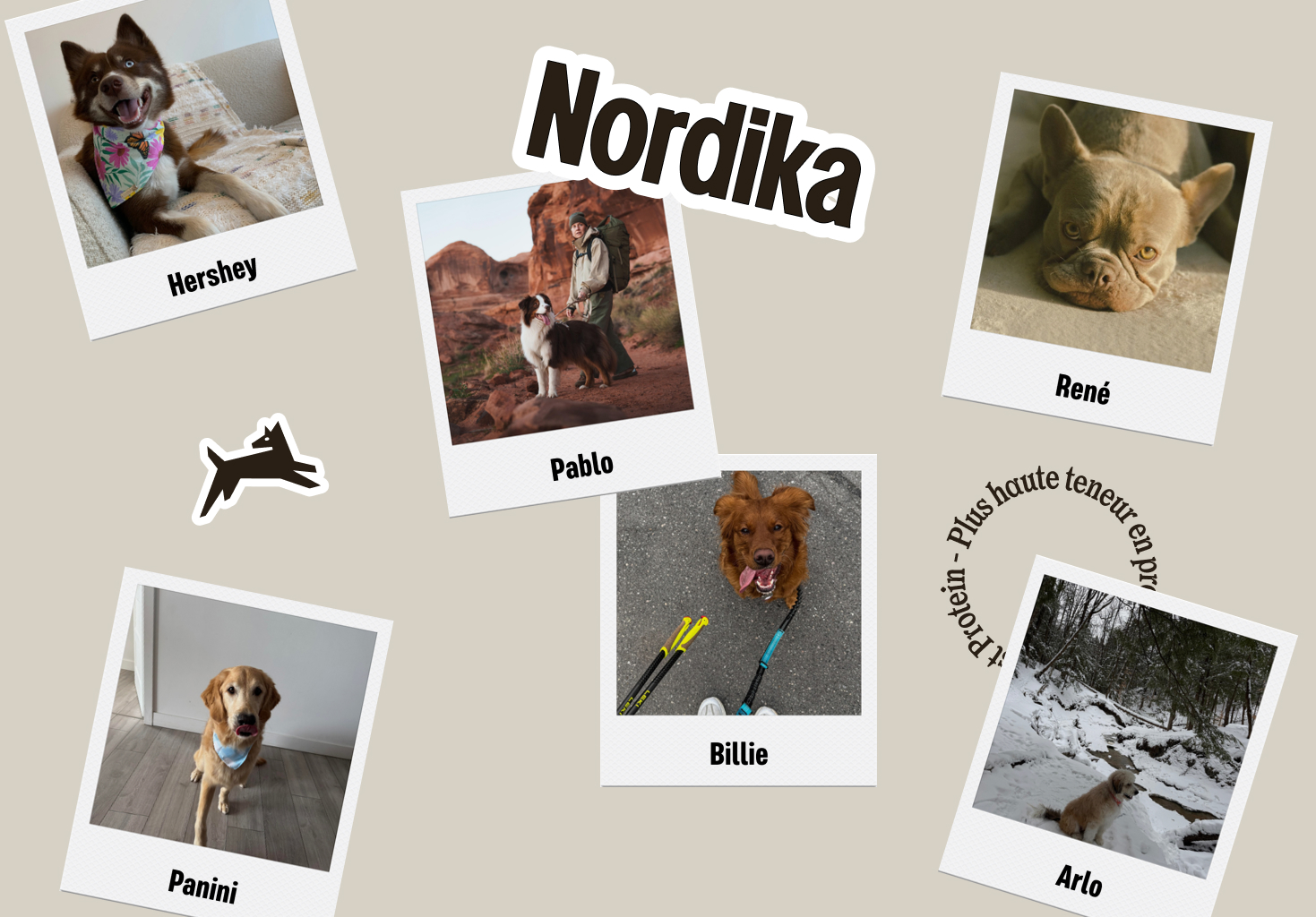 Nordika