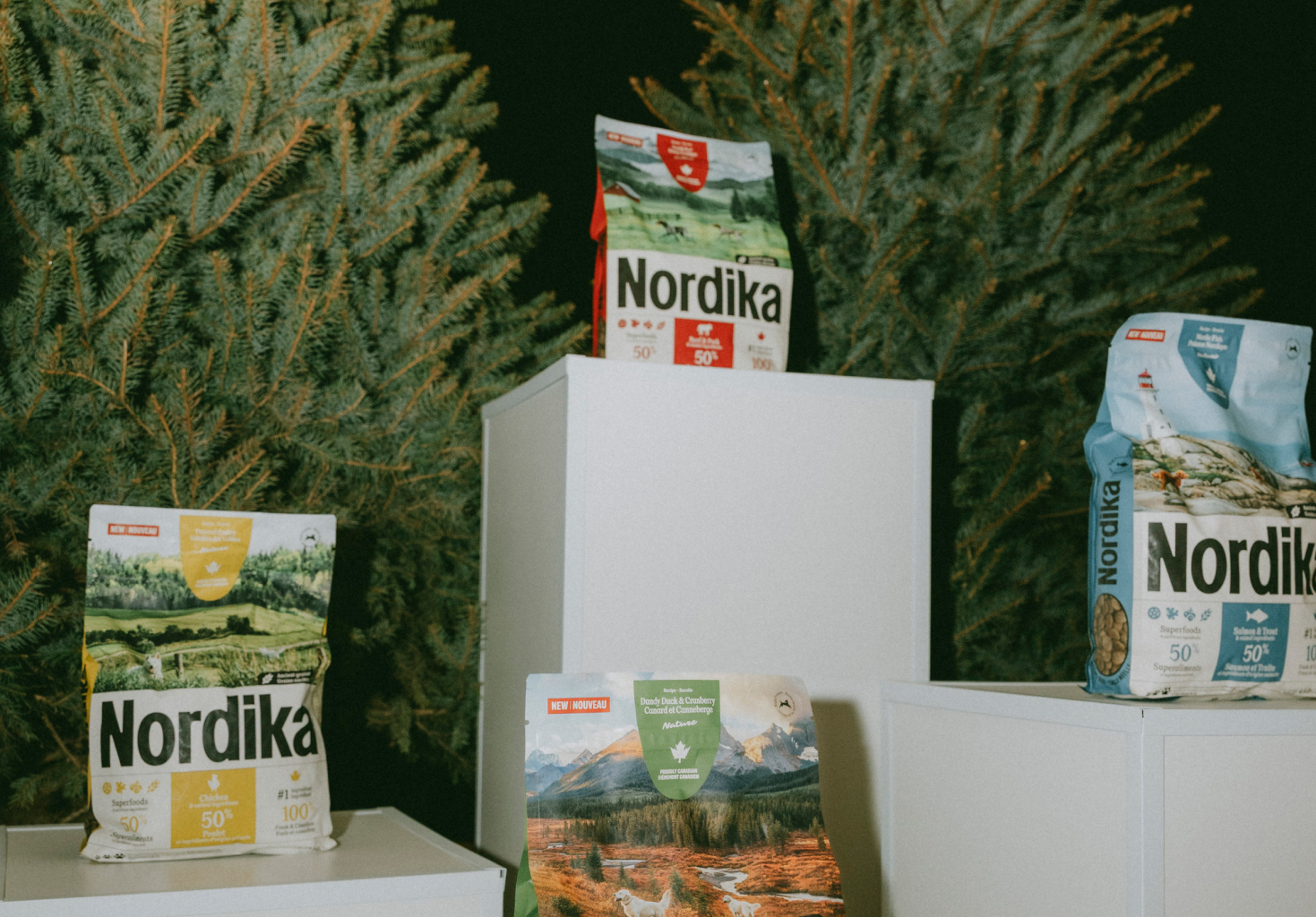 Nordika