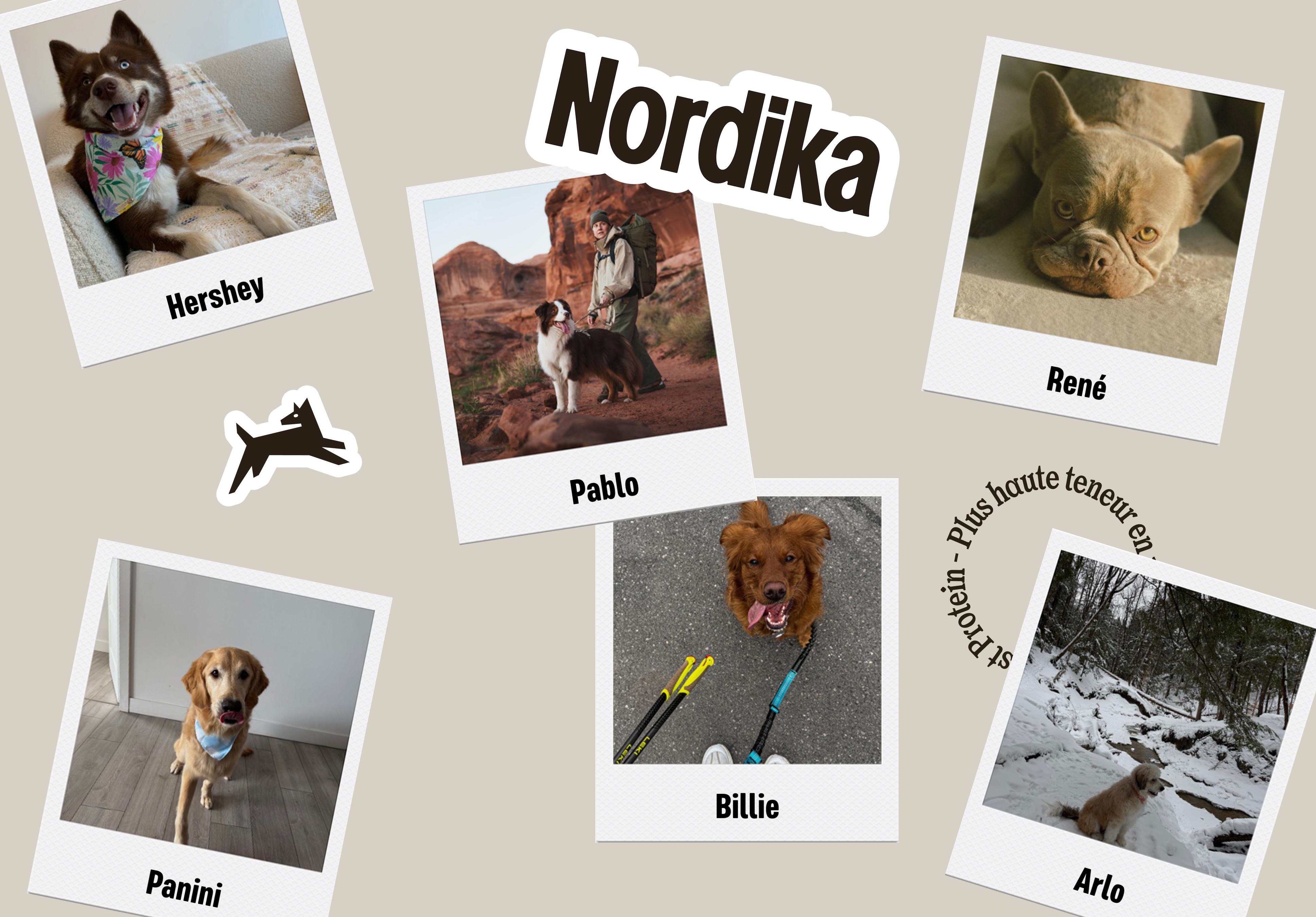 Nordika