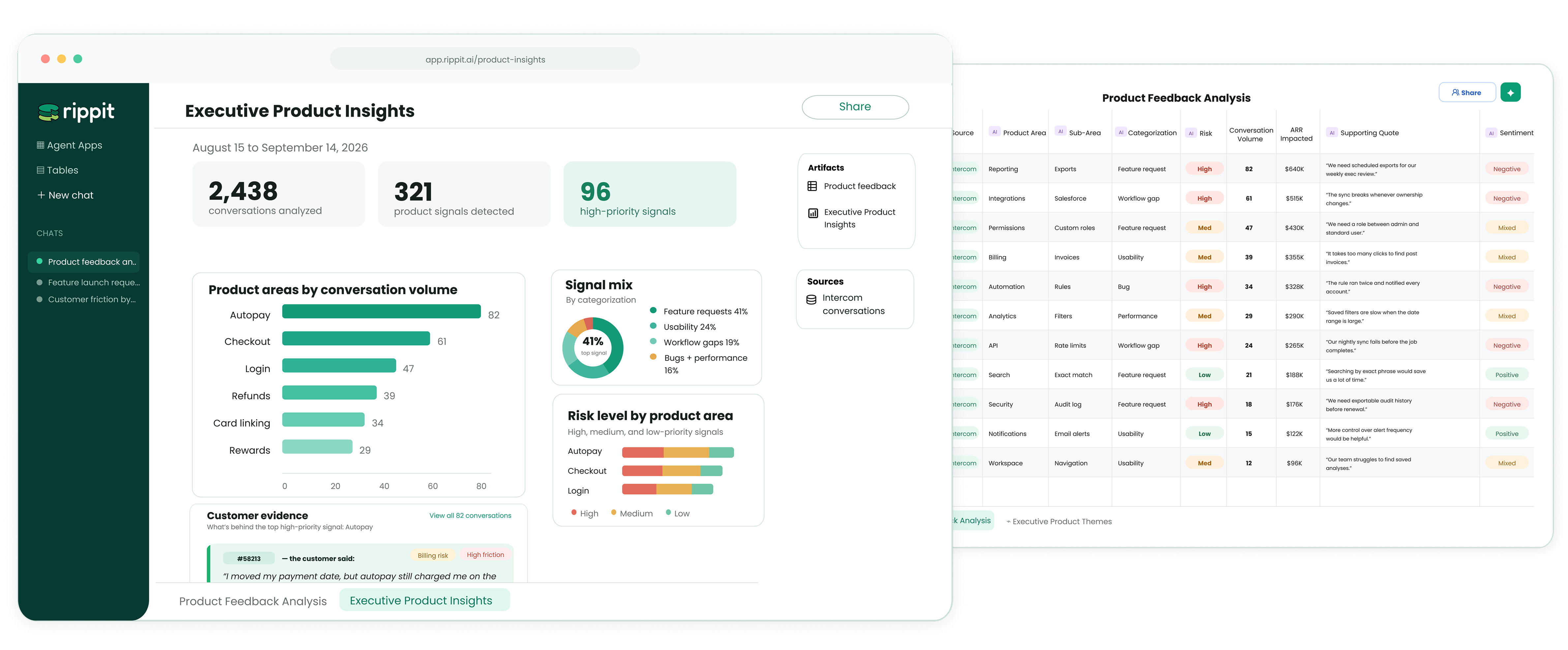 Rippit dashboard grouping conversations into themes for product strategy