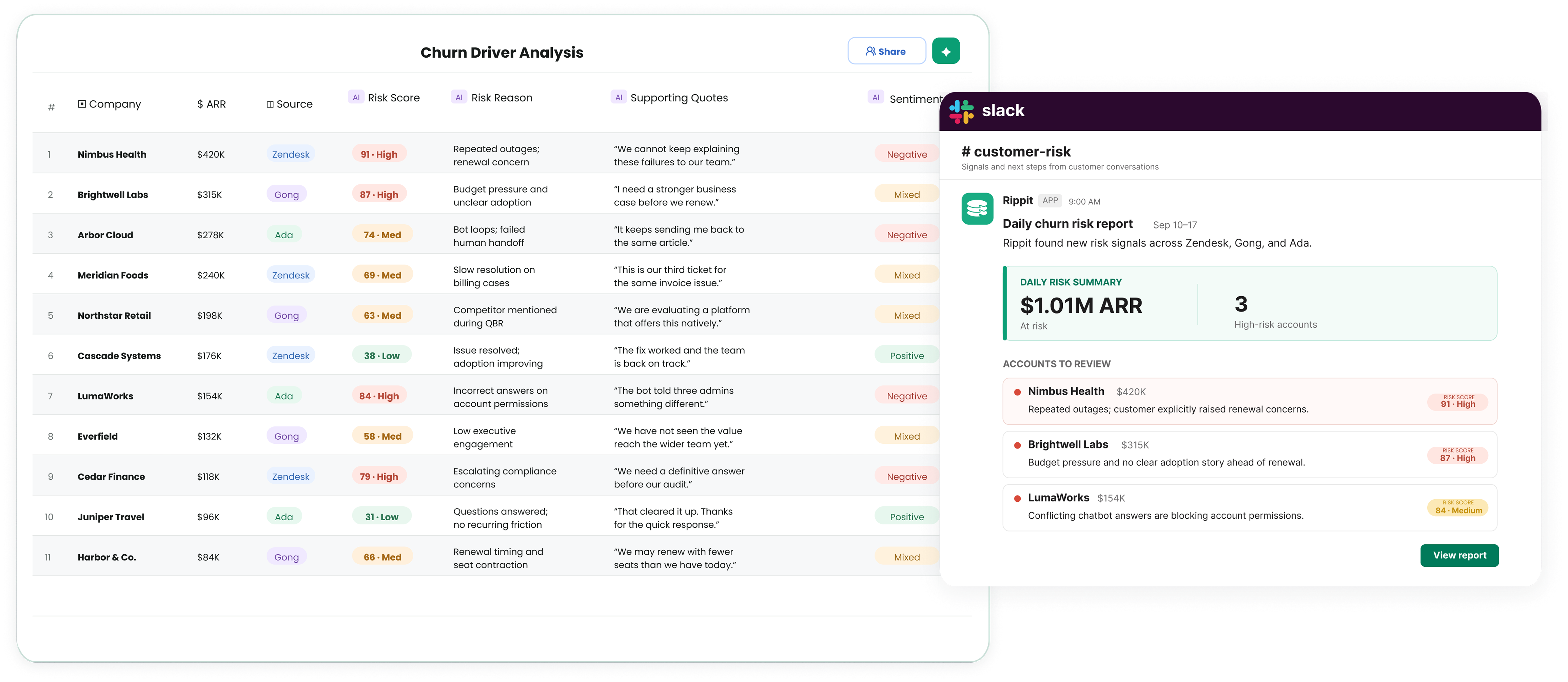 Rippit churn risk agent flagging at-risk accounts from customer conversations