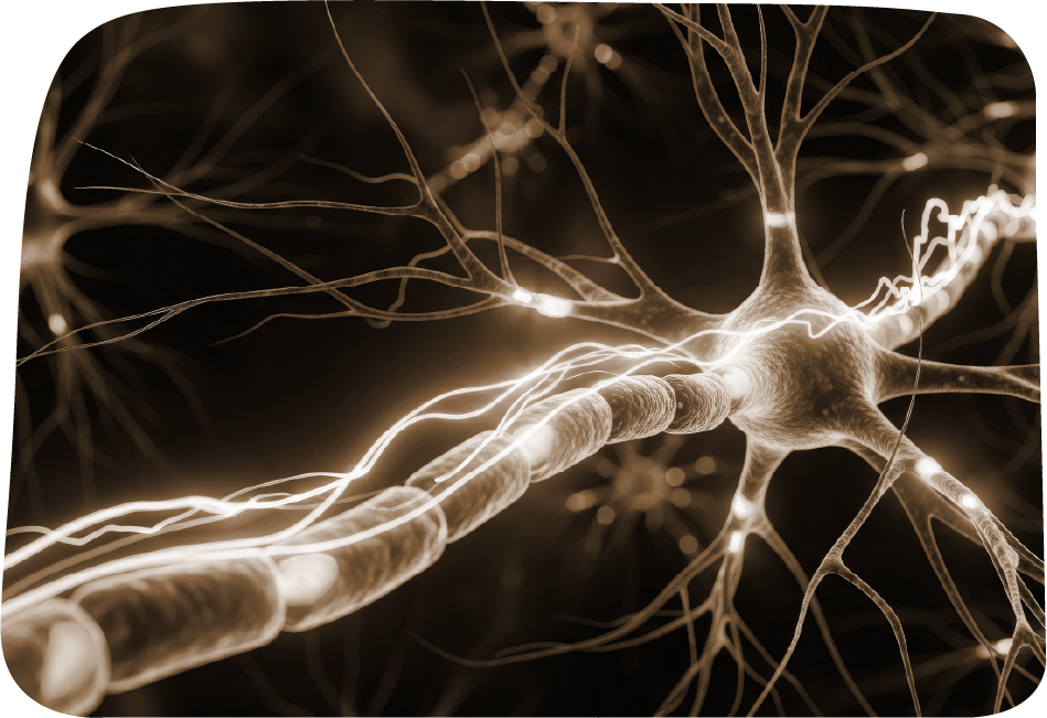 klinische Psychoneuroimmunologie Schweiz