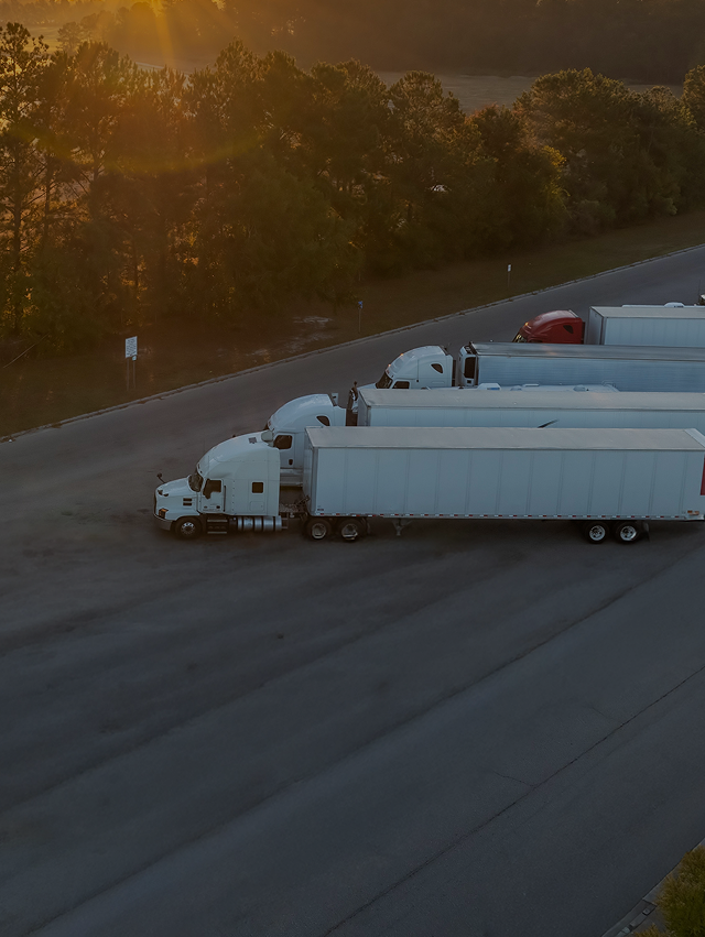 Four semi-trailer trucks parked side by side near a tree-lined area during sunset.