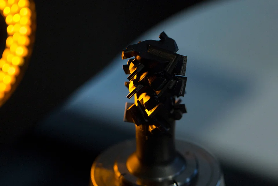 forêt gamme constance