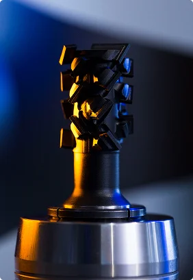 forêt gamme constance