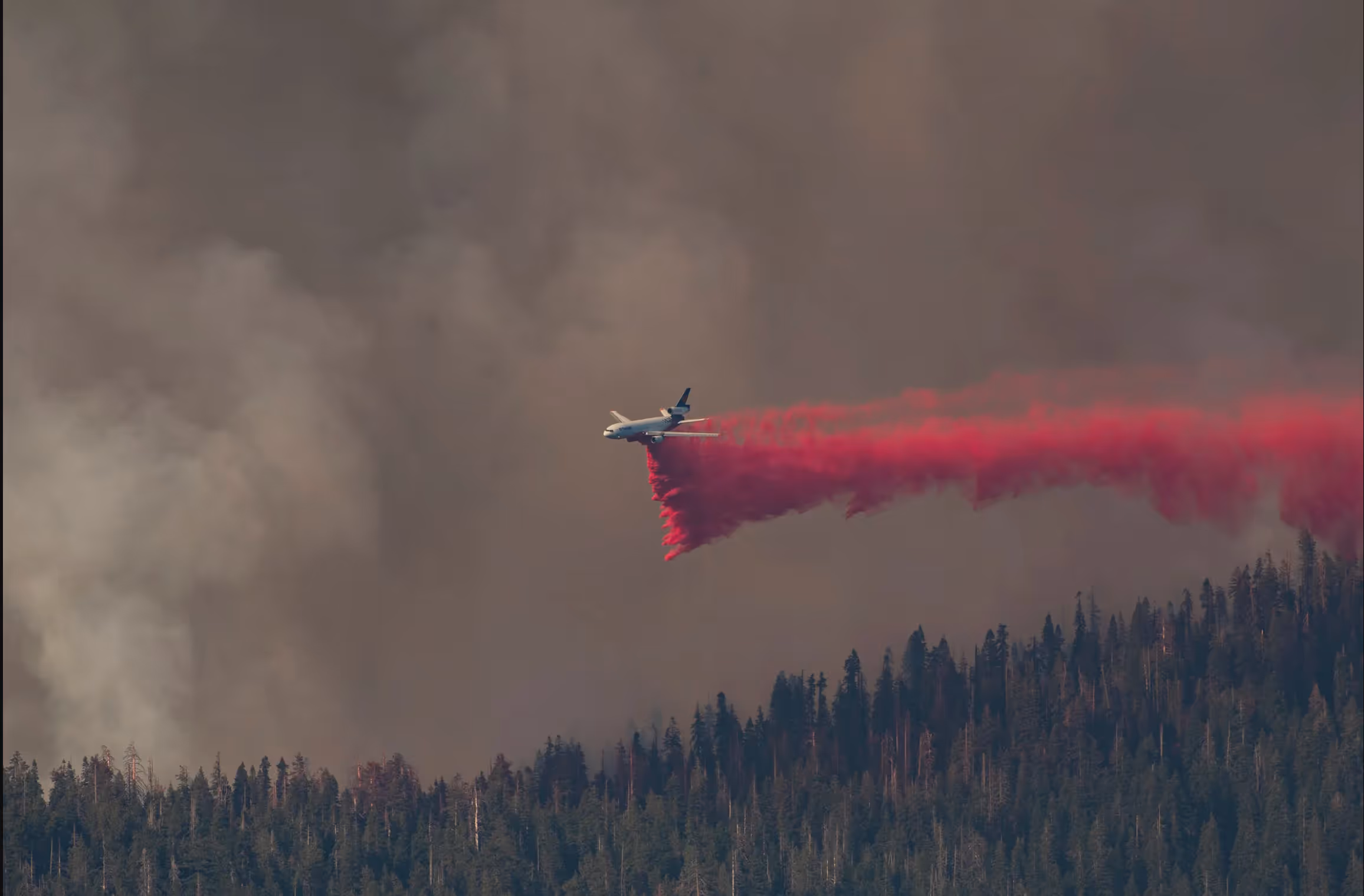 A Crowdsourced Wildfire App Tracks All of California’s Blazes