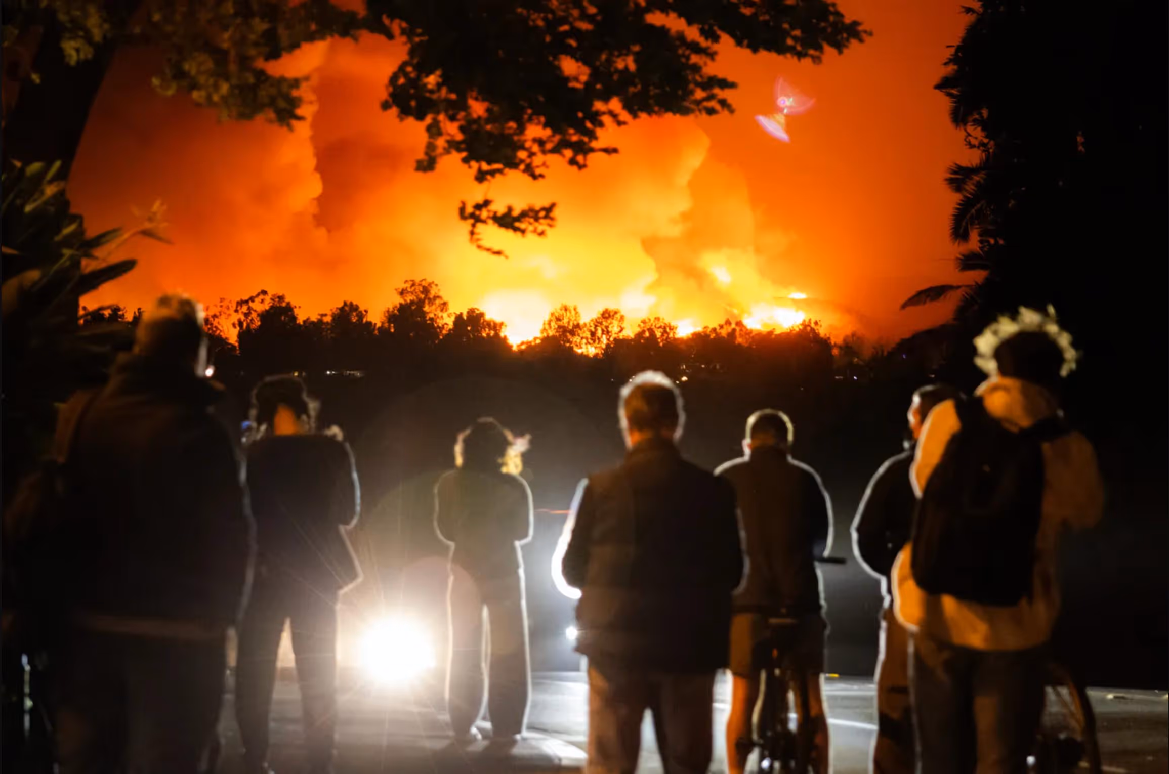 ‘Watch Duty’ Is Saving People From the L.A. Wildfires. Here’s How the App Actually Works