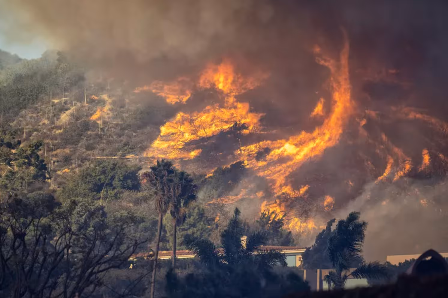 Millions of Californians Are Relying on Watch Duty App for Real-Time Fire Information