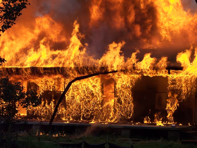 Get to Know The Watch Duty Fire Alert App