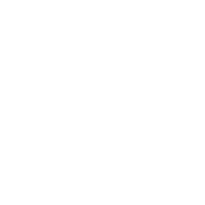 Groupama logo with a stylized sunburst above the text 'Le Groupe Groupama'.