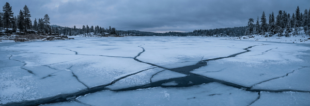 Almost right, always broke: the hidden psychology draining bettors’ bankrolls